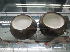 -椰爺爺·椰子冻砵仔糕