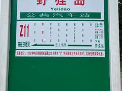 -野狸岛