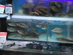 -盒马鲜生(杭州运河上街店)