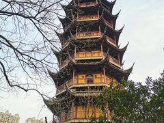 -红梅公园