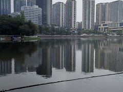 -金山公园