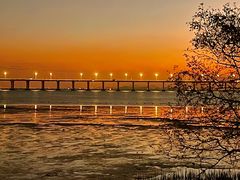 -宝安西湾红树林湿地公园