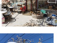 -崂山九水游览区