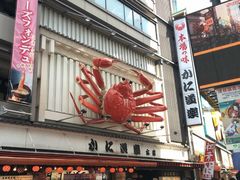 -蟹道乐(道顿堀本店)