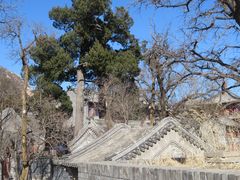-北京凤凰岭