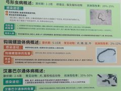 -瑞鹏·疫苗·绝育·宠物医院(广九店)