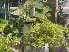 -豆豆花艺(新光天地店)