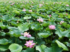 -南戴河国际娱乐中心