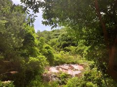 -宁波五龙潭景区