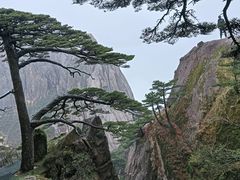 -黄山风景区