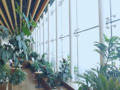 -Seesaw Coffee(朝阳大悦城店)