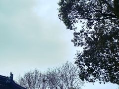 -苏州文庙(姑苏区)