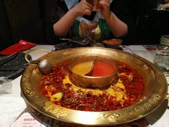 -哥老官重庆美蛙鱼头(龙湖杭州金沙天街店)