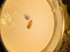 -椰子湾·海南火锅·糟粕醋·椰子鸡(正大广场店)