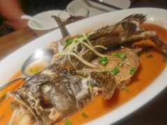 肉饼蒸石斑鱼-张家卫·阳江菜·小海鲜(肥婆湾桥店)