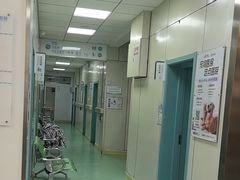 -北京观赏动物医院·24小时大型综合·猫专科·异宠专科