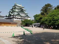 -名古屋城