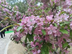 -元大都城垣遗址公园