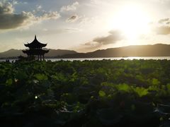 -不倒翁·安徽名菜楼(步行街店)