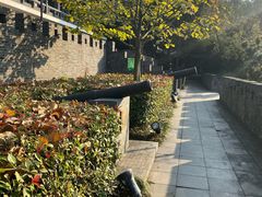-小湾茶楼