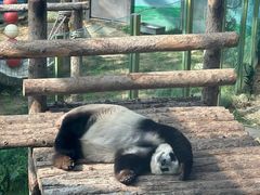 -大连森林动物园