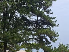 -刘公岛景区