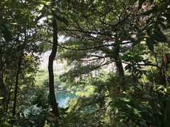 -武吉知马自然保护区