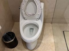 -合肥丰大国际大酒店