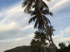 -椰树岛海滩度假村