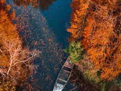 -上海海湾国家森林公园