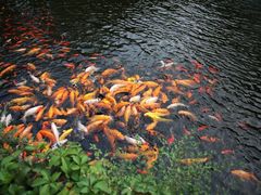 照片&nbsp;081-沈阳植物园