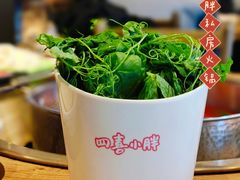 -四喜小胖·北京涮肉(五道营店)