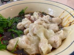 -珍味马边曹五抄手