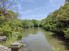 -上海海湾国家森林公园