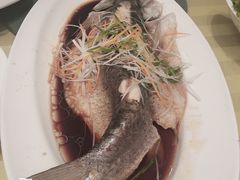 -天津滨海圣光皇冠假日酒店