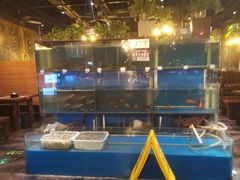 -小俩口烧烤东北菜(双井店)