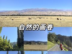 -新疆那拉提国家旅游度假区
