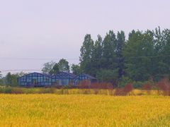 -中国天府农业博览园