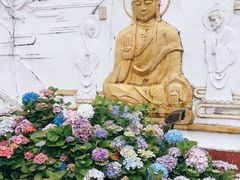 -大金鹰园