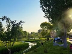 -圣露庄园·露营·烤肉·亲子