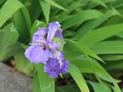 -南山风景名胜区