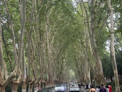 -应天大明王朝·南京菜(中山陵店)