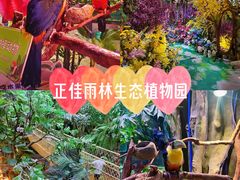 -正佳雨林生态植物园