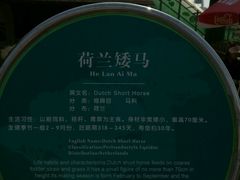 -川外川(星海店)