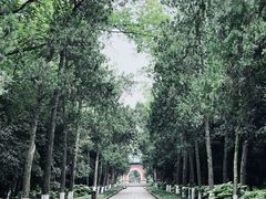 -灵谷景区