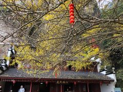 -大慈岩风景区