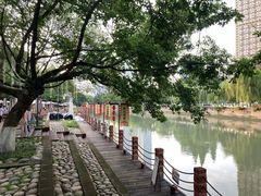 -成都市活水公园