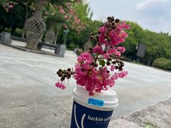 -杭州城北体育公园