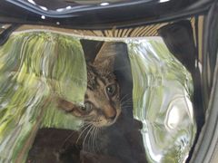-联合动物医院(光谷诊疗中心)
