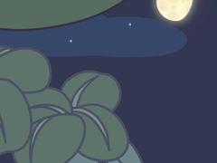 -九鼎鲜迷宗蟹(玉环店)